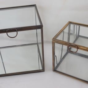AVEDA Glass Box Project